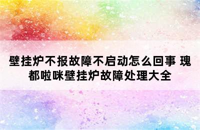 壁挂炉不报故障不启动怎么回事 瑰都啦咪壁挂炉故障处理大全